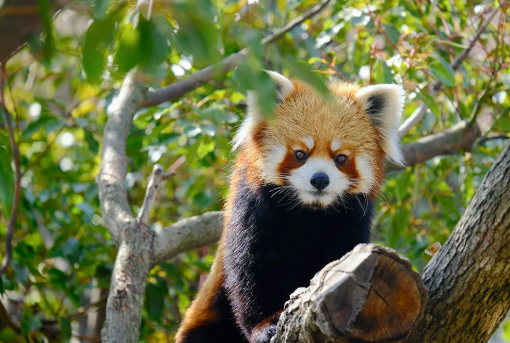 スクリーンショット 2026-04-08 062414