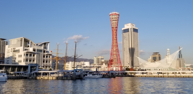 24061456_s
