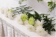 白いひだ飾りのクロスをかけた台の上に、白や黄緑色の菊、白いカーネーションが茎をそろえて並べて手向けられている献花の写真。