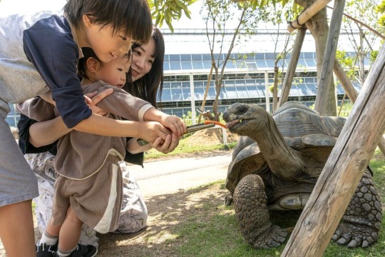 神戸どうぶつ王国入園券付