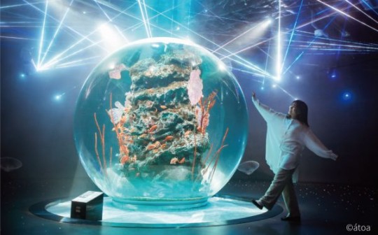 アクアリウムとアートが融合した新感覚の都市型水族館