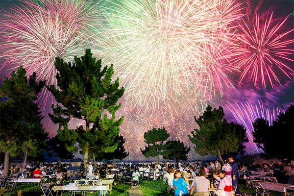 花火鑑賞プラン