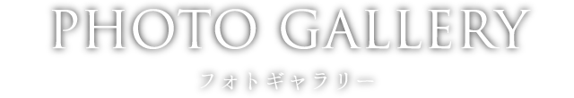 フォトギャラリー