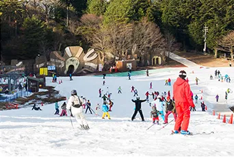 雪に覆われたゲレンデでソリ遊びやスキーを楽しむ家族連れ