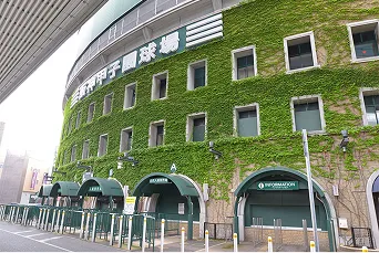 ツタに覆われた伝統的な阪神甲子園球場の外観