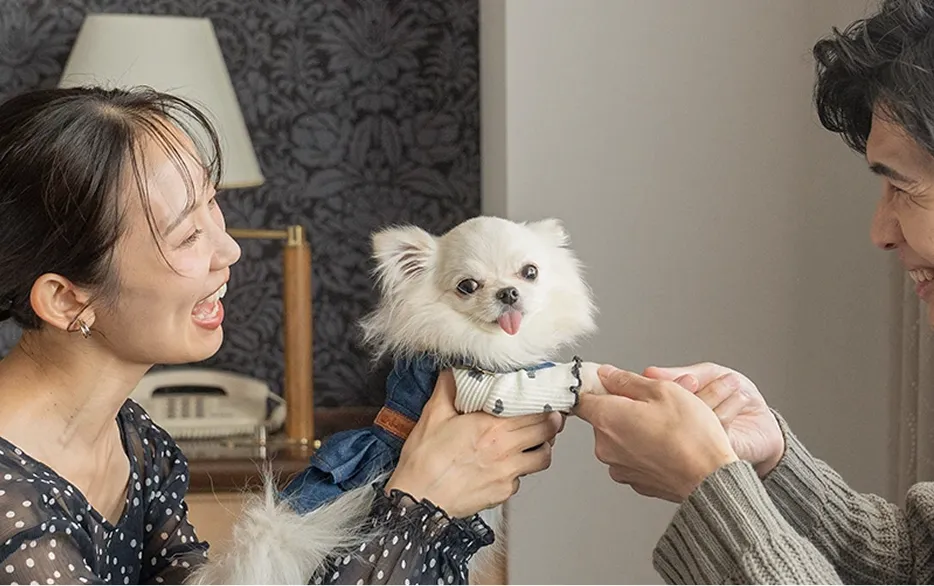 男女に抱きかかえられて甘える白い小型犬